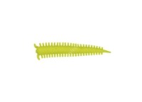 BERKLEY Gulp! Saltwater Sandworm 2 #Chart (16pcs)