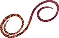 DAIWA Kohga SC Necktie 3D Y.S.Curly #Tako Ashi Orange/Red