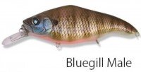 NISHINE Deka Beatour MG5 #Bluegill Male