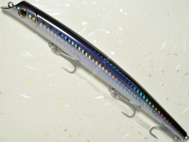 BASIC GEAR BG Saltex Paragus 160 #01 HG Iwashi