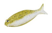 DSTYLE Gilluula 2.5" Camo
