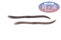 JACKALL Flick Shake 500 4.8'' #Kasumi Pro Blue Local