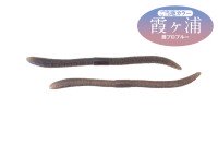 JACKALL Flick Shake 500 4.8'' #Kasumi Pro Blue Local