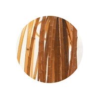 GEECRACK Deesco 1oz # 001 Pumpkin Seed