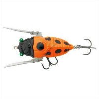 TIEMCO Cicada Jumbo Dead Slow DS #122 orange beetle
