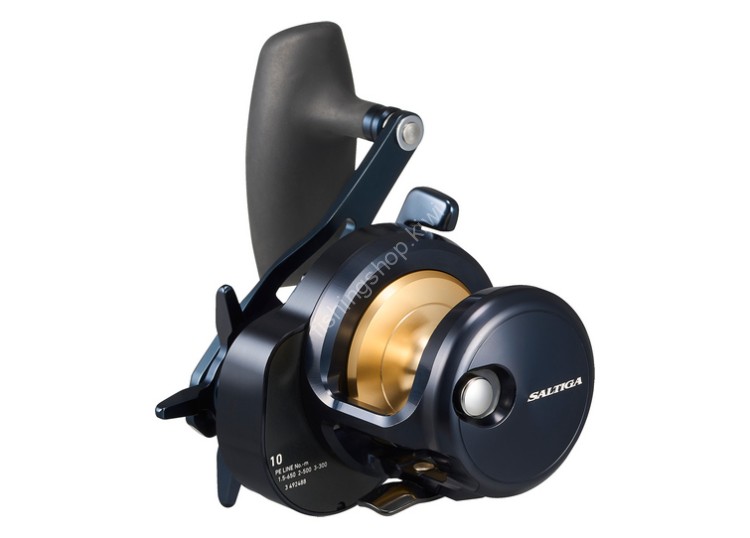 DAIWA 25 Saltiga 10H