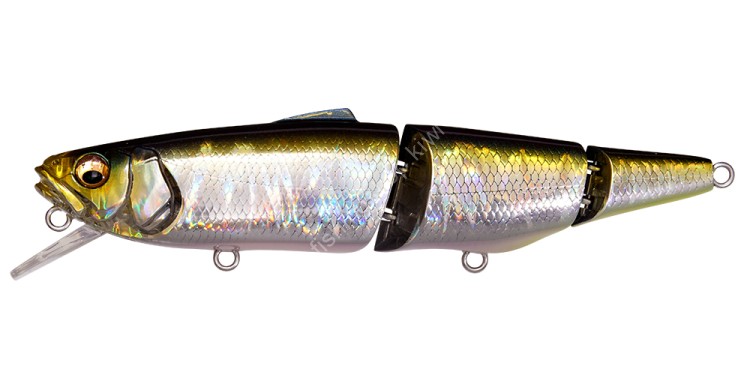 MEGABASS SuWitcg #GG Tennessee Shad