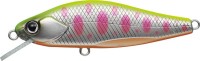 EVERGREEN Nelmezzo 50FS 5.0g #32 Sight Chart Yamame