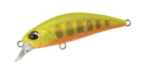 DUO Spearhead Ryuki 38S #ANA4056 Gold Yamame