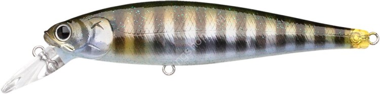 LUCKY CRAFT Pointer 100SP #Baby BG