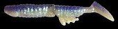 KASUMI DESIGN Constricted Shad 3.1KD24 Purple Shad