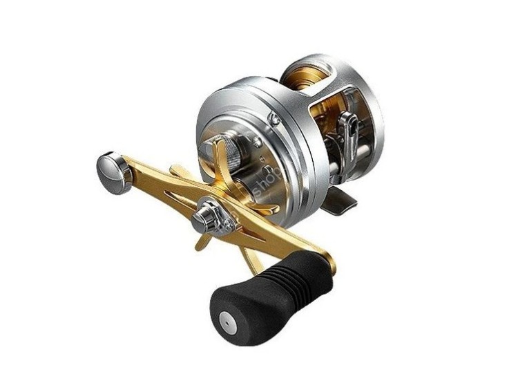 SHIMANO 12 Calcutta 300F Reels buy at Fishingshop.kiwi