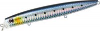 DAIWA Morethan Cross Counter 125F # Laser Maiwashi