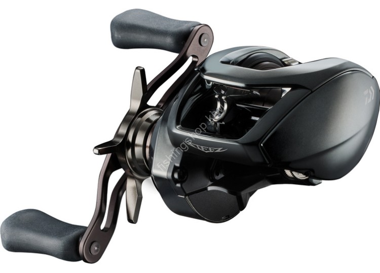 DAIWA 24 Steez SV TW 100H