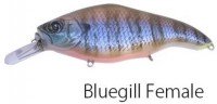 NISHINE Deka Beatour MG5 #Bluegill Female