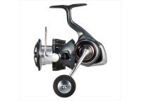 DAIWA 24 Luvias LT5000D-CXH