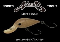 NORIES Meet 29DR-F 380M Secret Brown Glow