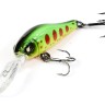 MUKAI x LUCKY JOHN Basara 35F # 201