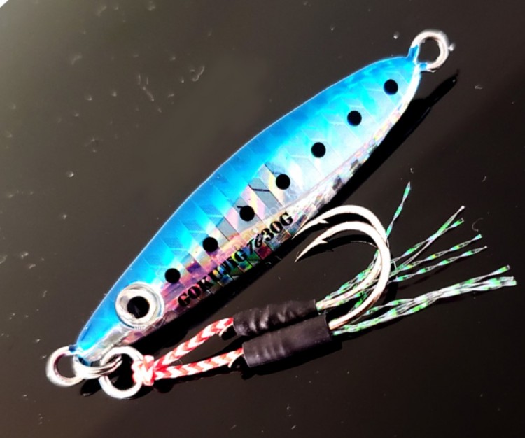 PURETEC GokuJig TG 30g #Iwashi