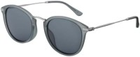 DAIWA DN-8015 Triacetate Polarized Glasses [Gray]