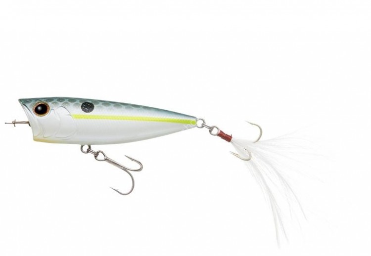 EVERGREEN One's Bug # 289 Queen Shad