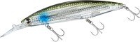 DAIWA Shore Line Shiner-Z Set Upper Fullback Laser Impact 125SDR-LI #LI Inakko