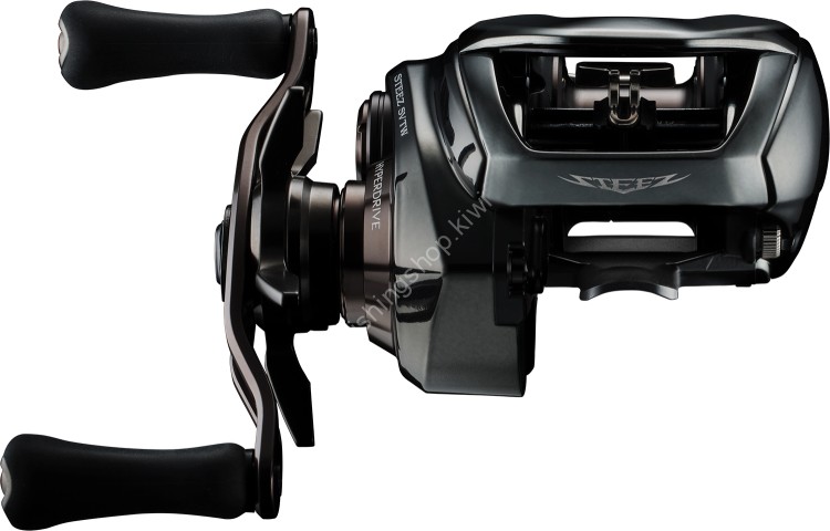 DAIWA 24Steez SV TW 100HL