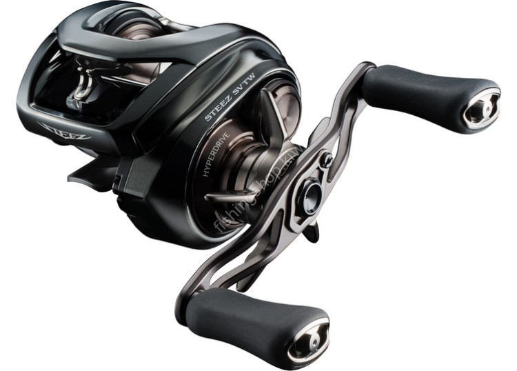 DAIWA 24 Steez SV TW 100HL