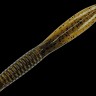 GAN CRAFT Betty 5.9 #04 Greeneen Pumpkin Shad