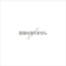 GAMAKATSU Kairyo Soi Ring Eye [Nano Smooth Coat] #24 (5pcs)