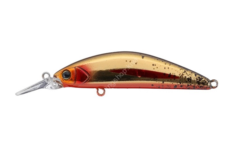 JACKALL C&R Tricolor GT 56MD-F #HL Golden Trout
