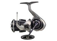 DAIWA 25 Caldia LT4000-C