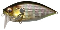 MEGABASS O.R.C Burning Shad 58F 10.6g #GG Gill