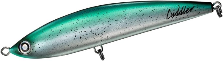 DAIWA Saltiga Cudller 200F #Green Kauai