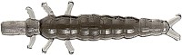 NIKKO Black River Beetle (Small) 0.9'' #C04 Natural