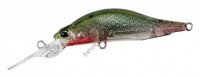 DUO Realis Rozante Shad 57MR CCC3260 PCS SMELT (WAKASAGI)