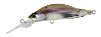 DUO Realis Shad 57MR #DSH3061 Komochi Wakasagi