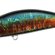 注目の福袋をピックアップ！ DUO catalog at Fishingshop.kiwi ルアー・フライ