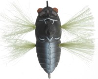 TIEMCO TT Soft Shell Tiny Cicada #TTSSTC-049 Aburazemi