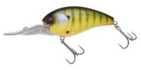 NORIES Shot Stormy Magnum 5 #309 Pearl Real Gil
