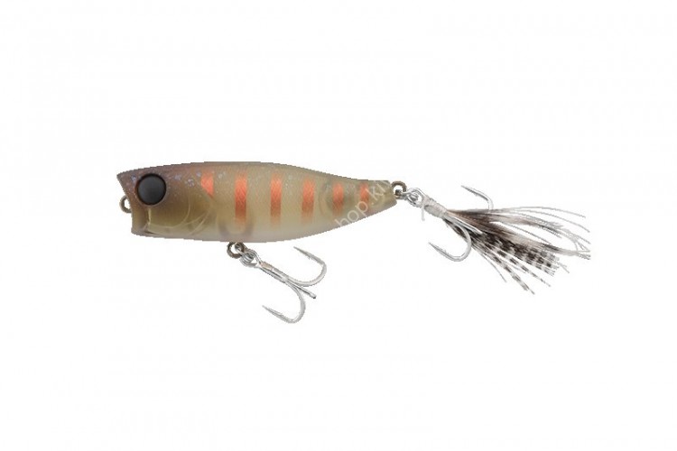 JACKALL Chubby Popper 42 Striped Cricket