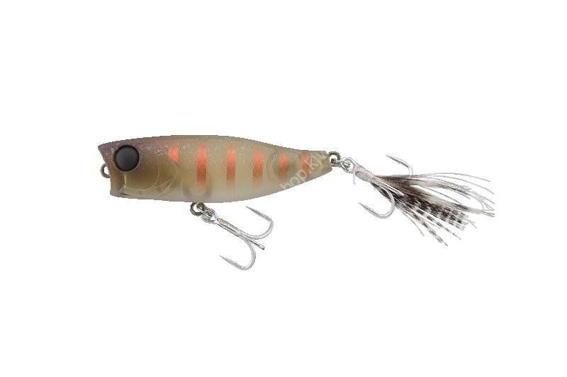 JACKALL Chubby Popper 42 Striped Cricket Lures buy at