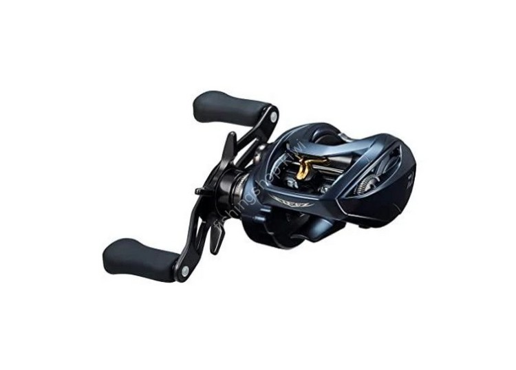DAIWA Steez A II TW 1000