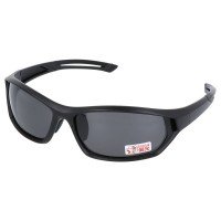 TWO SEEM Sunglasses TSC-F79SB (Smoke)