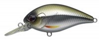 EVERGREEN Combat Crank 180 # 360 Super Natural