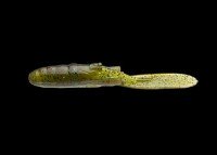 NORIES 2-1/2" Padtue #317 Light Green Pumpkin Blue Flk.