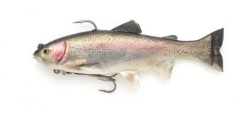 IMAKATSU Lazy Swimmer #S-485 3DR Rainbow Trout