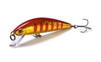 JACKSON Athlete 55SFH AKY Akakin Yamame