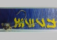 FUJIWARA Kabura-O No.6 #Gold