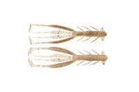 JACKALL Bleeker Jimmy Shrimp 3.8'' #Sukejako